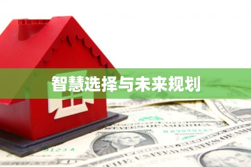 新昌智慧选择与未来规划