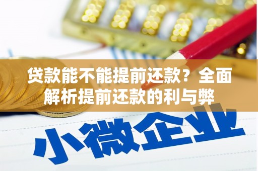 新昌贷款能不能提前还款？全面解析提前还款的利与弊