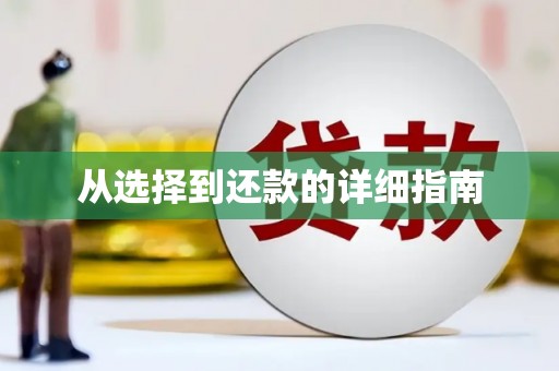 新昌从选择到还款的详细指南