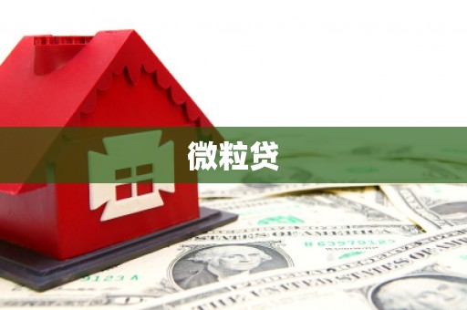 新昌微粒贷