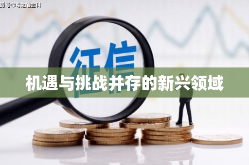 新昌机遇与挑战并存的新兴领域