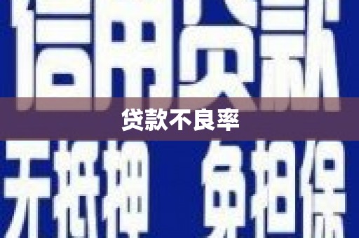 新昌贷款不良率
