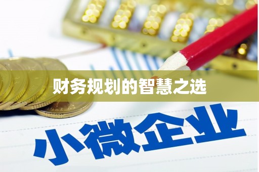 新昌财务规划的智慧之选